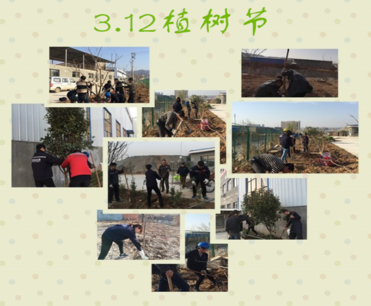 寶雞捷銳“迎春風(fēng)，綠家園”植樹(shù)節(jié)(圖3)